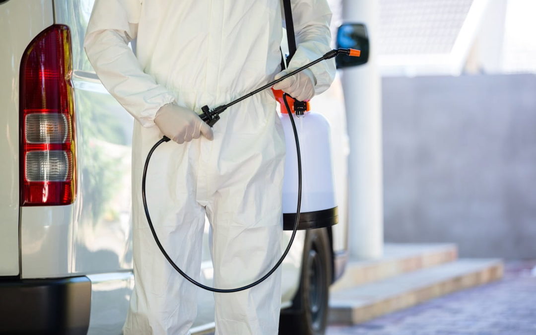 Hazards of Bed Bug Infestation