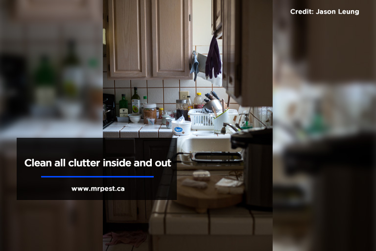 Clean all clutter inside and out