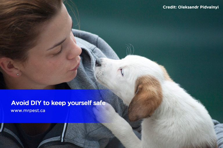 Avoid DIY to keep yourself safe