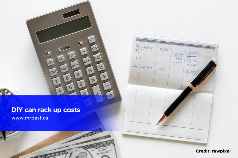 DIY can rack up costs