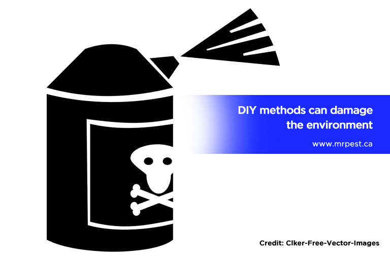 DIY methods can damage the environment