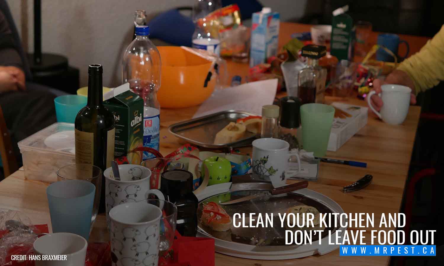  Clean your kitchen and don’t leave food out