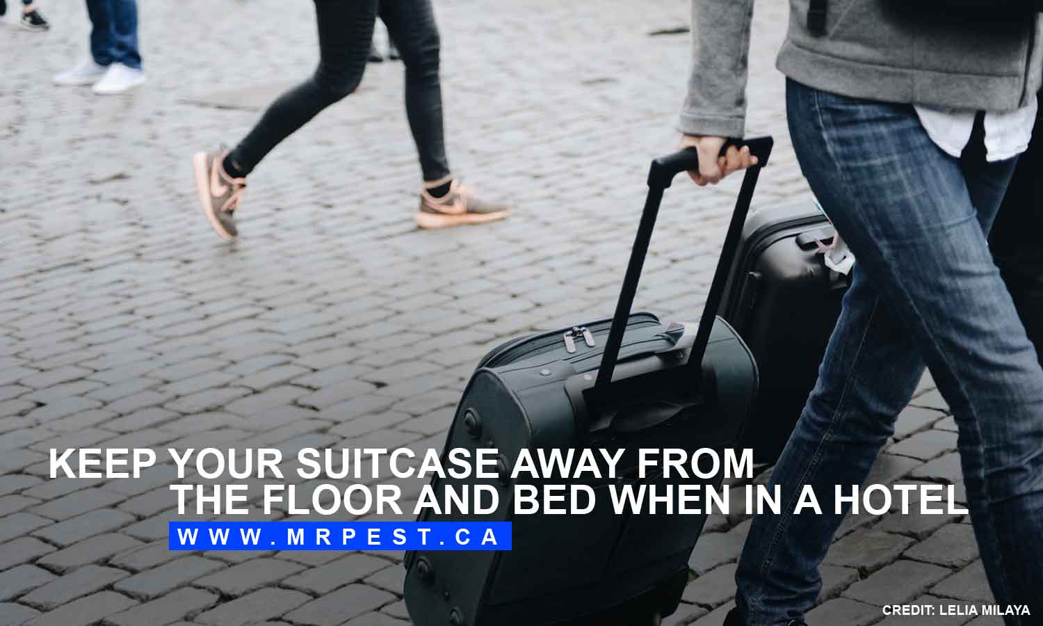 Keep your suitcase away from the floor and bed when in a hotel