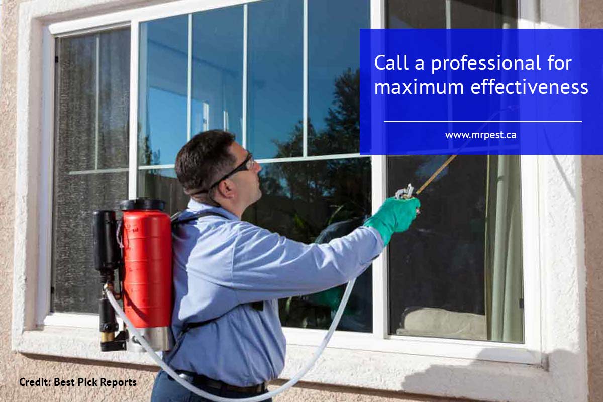 Call a professional for maximum effectiveness