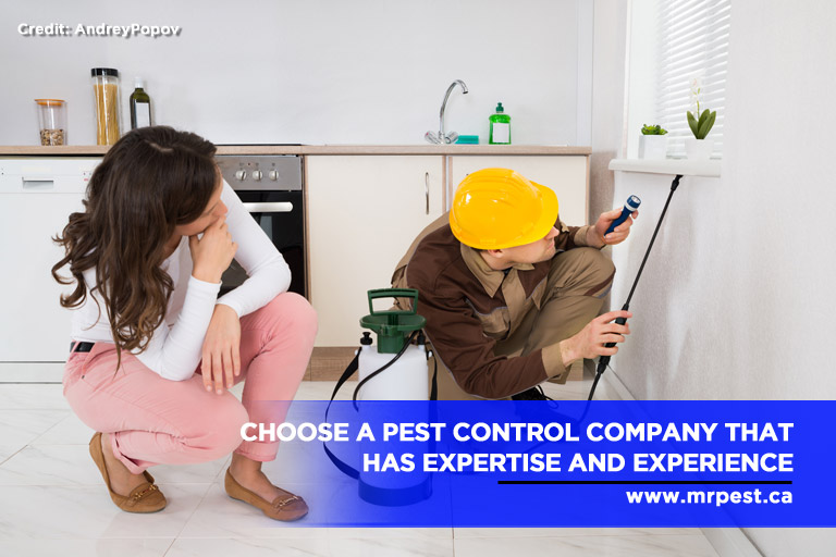 Finding Quality Pest Control Services in Barrie