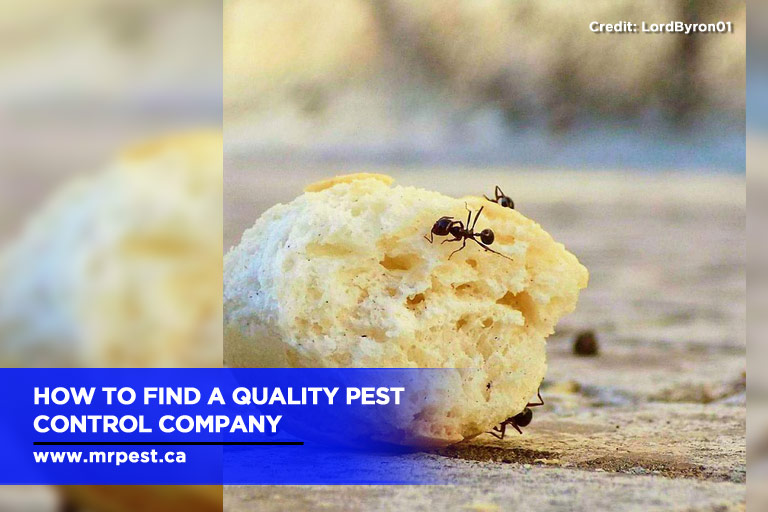 Quality Pest Control Service