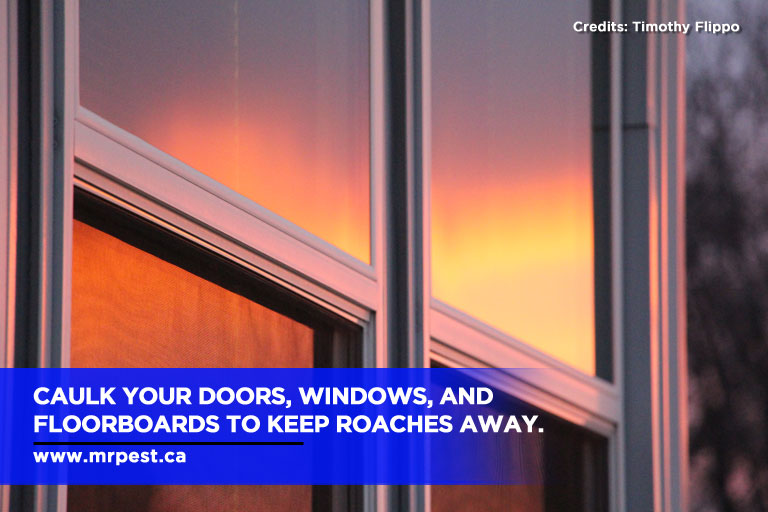 Caulk your doors, windows, and floorboards to keep roaches away.