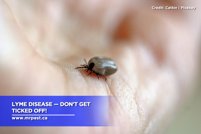 Lyme Disease — Don't Get Ticked Off!