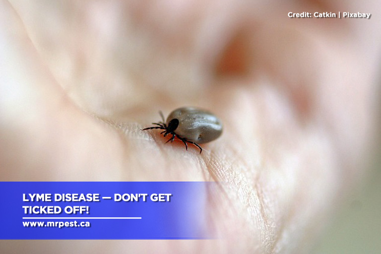 Lyme Disease — Don’t Get Ticked Off!
