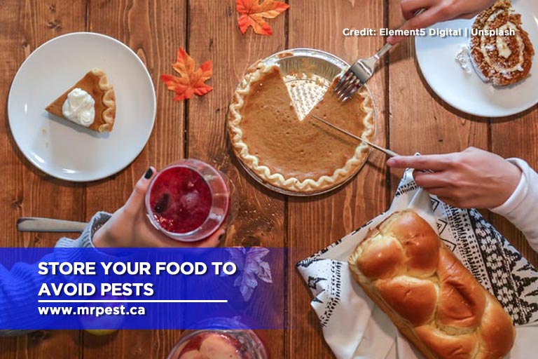 Store your food to avoid pests