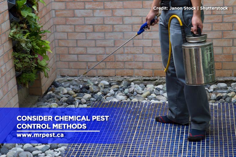 Consider chemical pest control methods