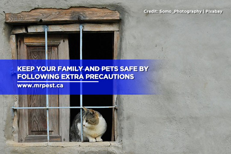 Keep your family and pets safe by following extra precautions