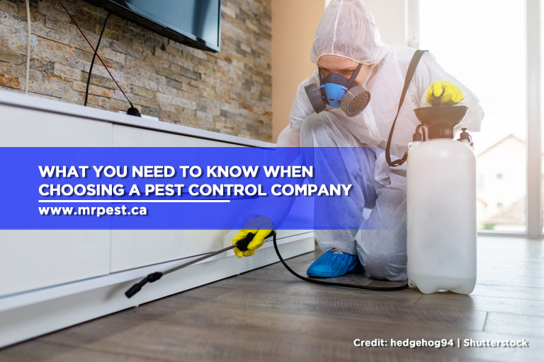 What You Need to Know When Choosing a Pest Control Company