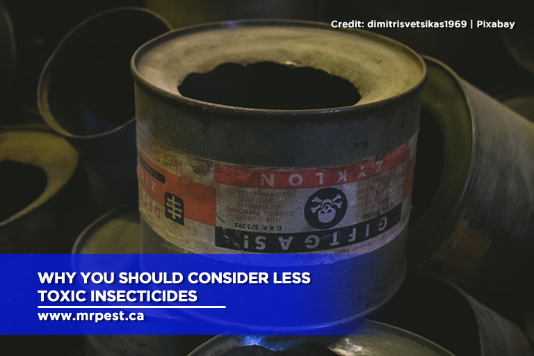 Why You Should Consider Less Toxic Insecticides