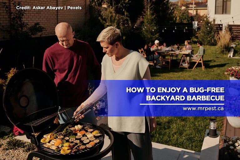 How to Enjoy a Bug-Free Backyard Barbecue