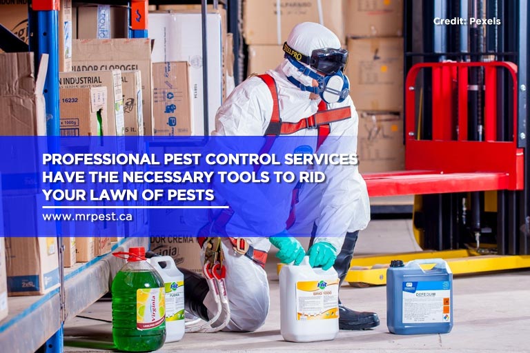 Professional pest control services have the necessary tools to rid your lawn of pests