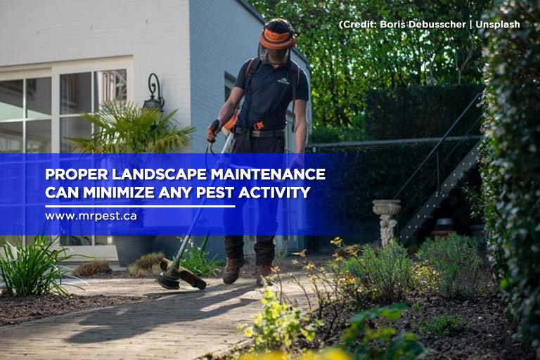 Proper landscape maintenance can minimize any pest activity