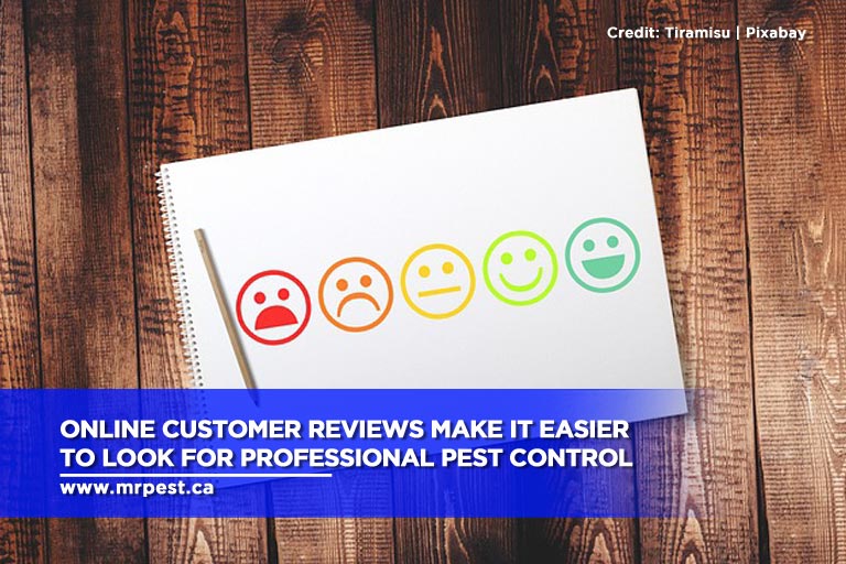 Online customer reviews make it easier to look for professional pest control