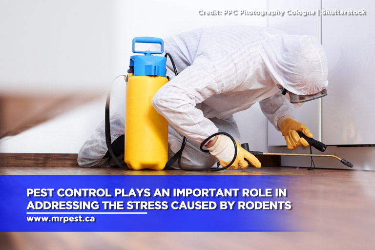 Pest control plays an important role in addressing the stress caused by rodents