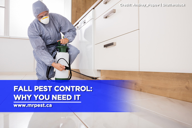 Fall Pest Control: Why You Need It