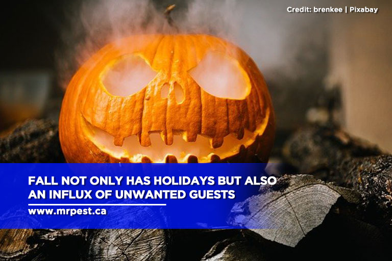 Fall not only has holidays but also an influx of unwanted guests