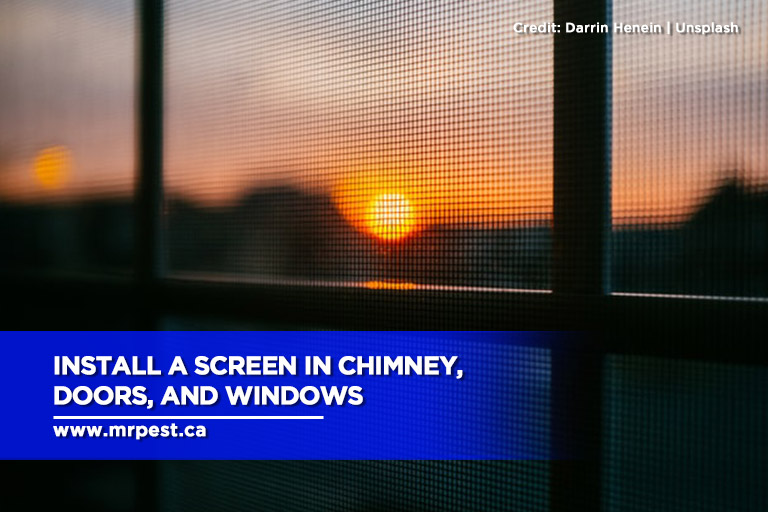 Install a screen in chimney, doors, and windows