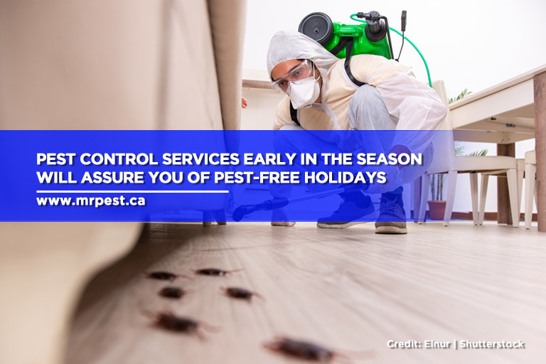 Pest control services early in the season will assure you of pest-free holidays