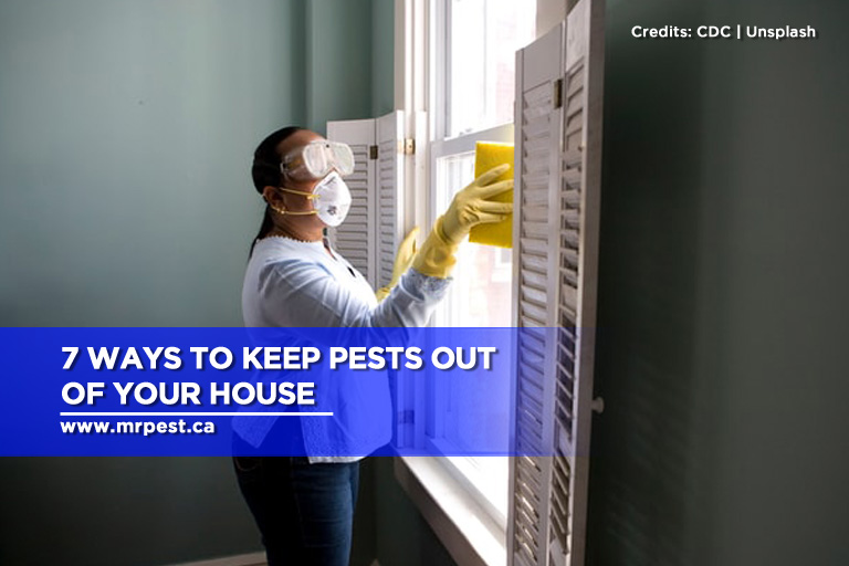 7 Ways to Keep Pests out of Your House