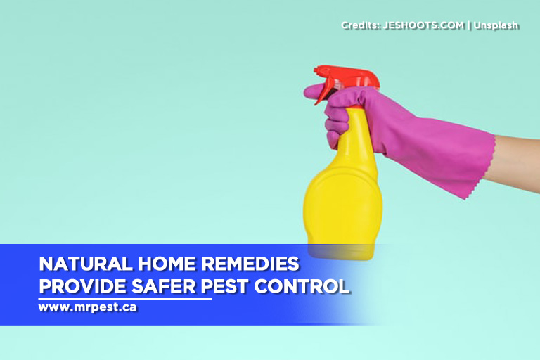 Natural home remedies provide safer pest control