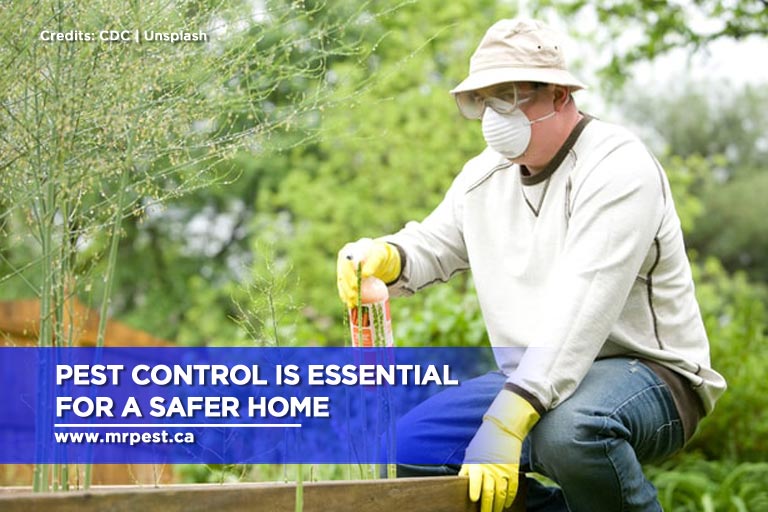 Pest control is essential for a safer home