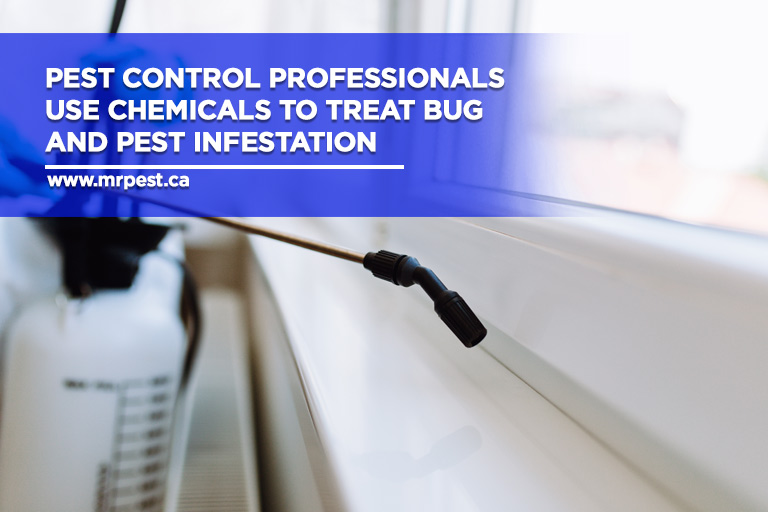 Pest control professionals use chemicals to treat bug and pest infestation