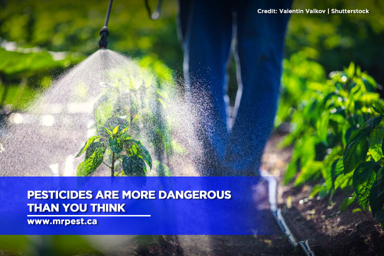 Pesticides are more dangerous than you think