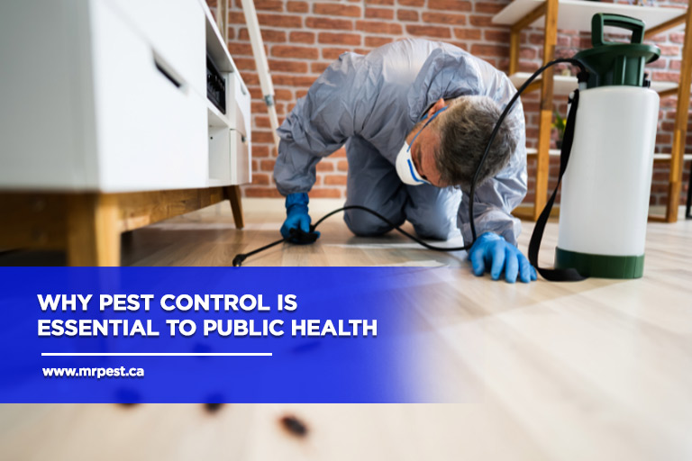 Why Pest Control Is Essential to Public Health