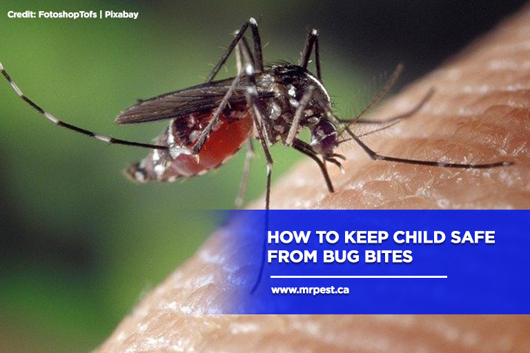 How to Keep Child Safe From Bug Bites