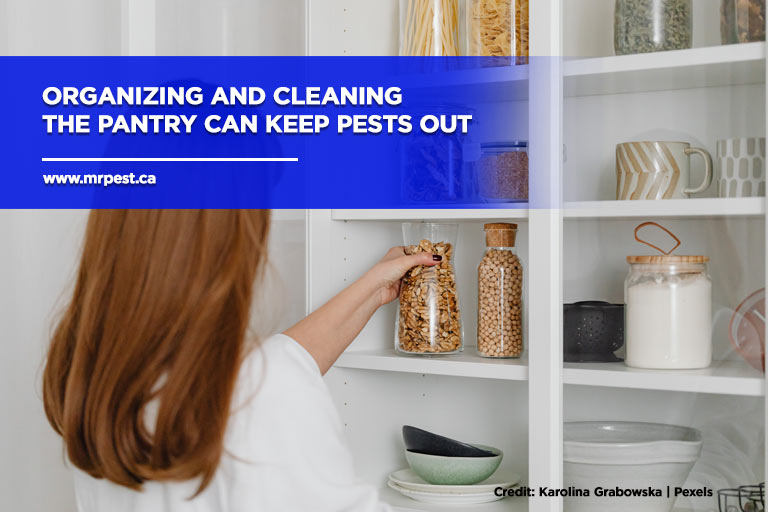Organizing and cleaning the pantry can keep pests out