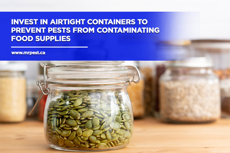 Invest-in-airtight-containers-to-prevent-pests-from-contaminating-food-supplies