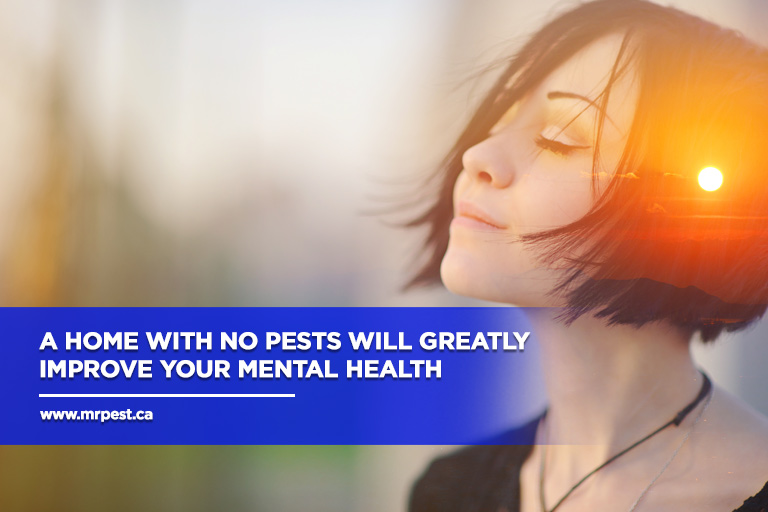 A home with no pests will greatly improve your mental health