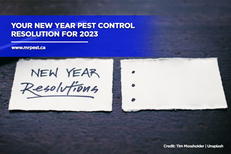 Your New Year Pest Control Resolution for 2023