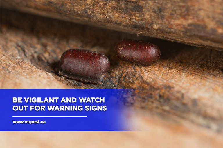 Be vigilant and watch out for warning signs