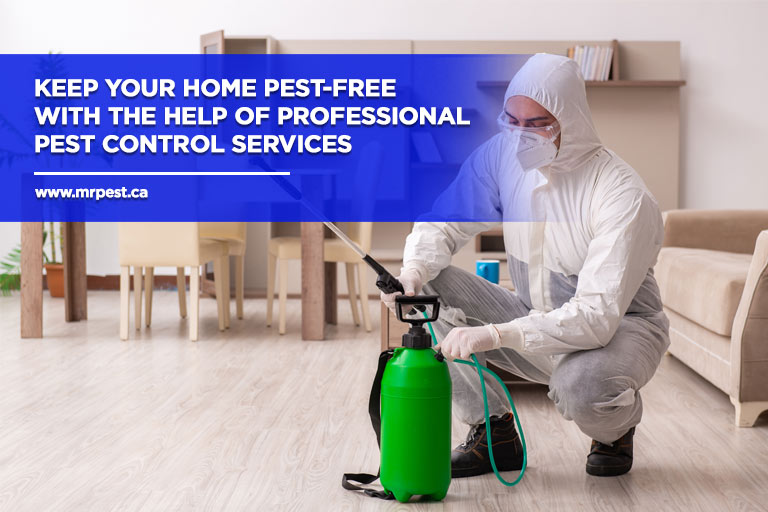 Keep your home pest-free with the help of professional pest control services.