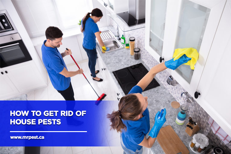 All-around cleaning leaves no place for pests to thrive