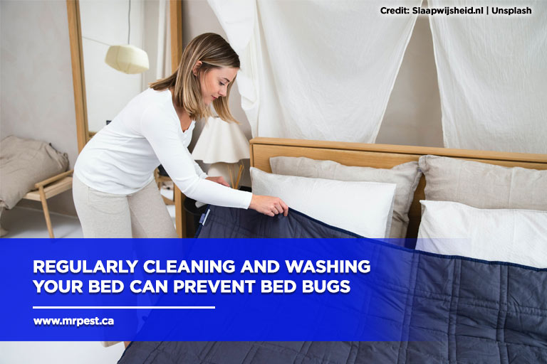 How Bed Bugs Survive and Thrive in the Winter Mr Pest Control