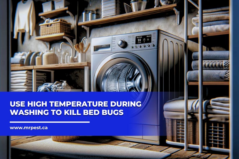 Regular Maintenance for a Bug-Free Zone