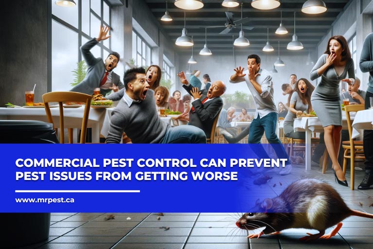 Time and Cost Efficiency