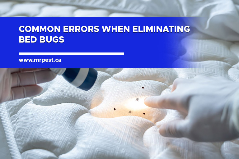 Common Errors When Eliminating Bed Bugs
