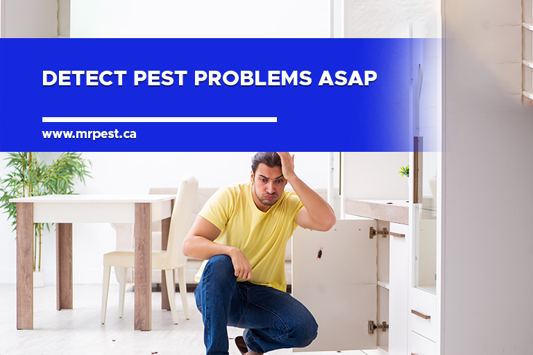 Detect pest problems ASAP