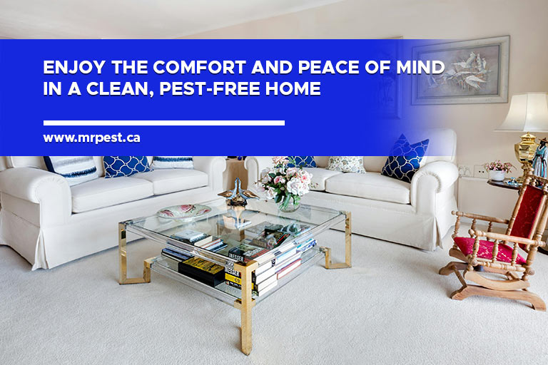 Enjoy the comfort and peace of mind in a clean, pest-free home