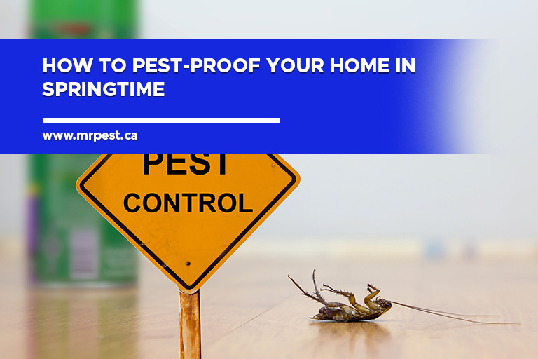 How to Pest-Proof Your Home in Springtime