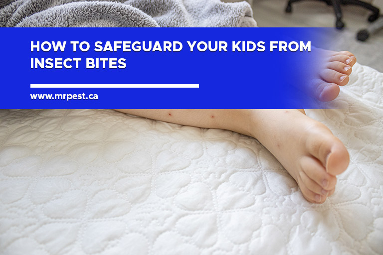 How to Safeguard Your Kids from Insect Bites