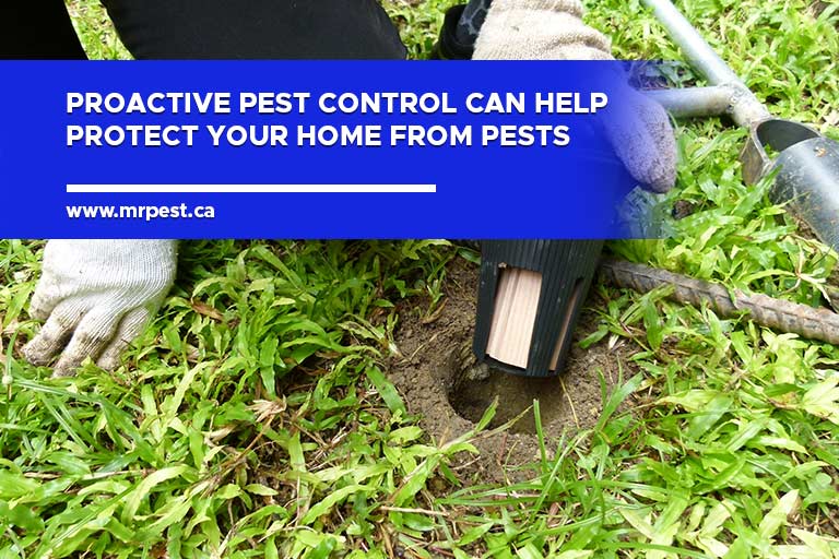 Proactive pest control can help protect your home from pests